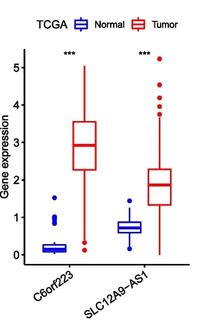 Open access visualization of Box Plot, lncRNAs, C6orf223, SLC12A9-AS1, TCGA