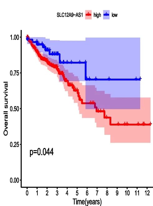 Open access visualization of Survival Curve, Error Bars, Line Step, Kaplan-Meier Curves, Overall Survival