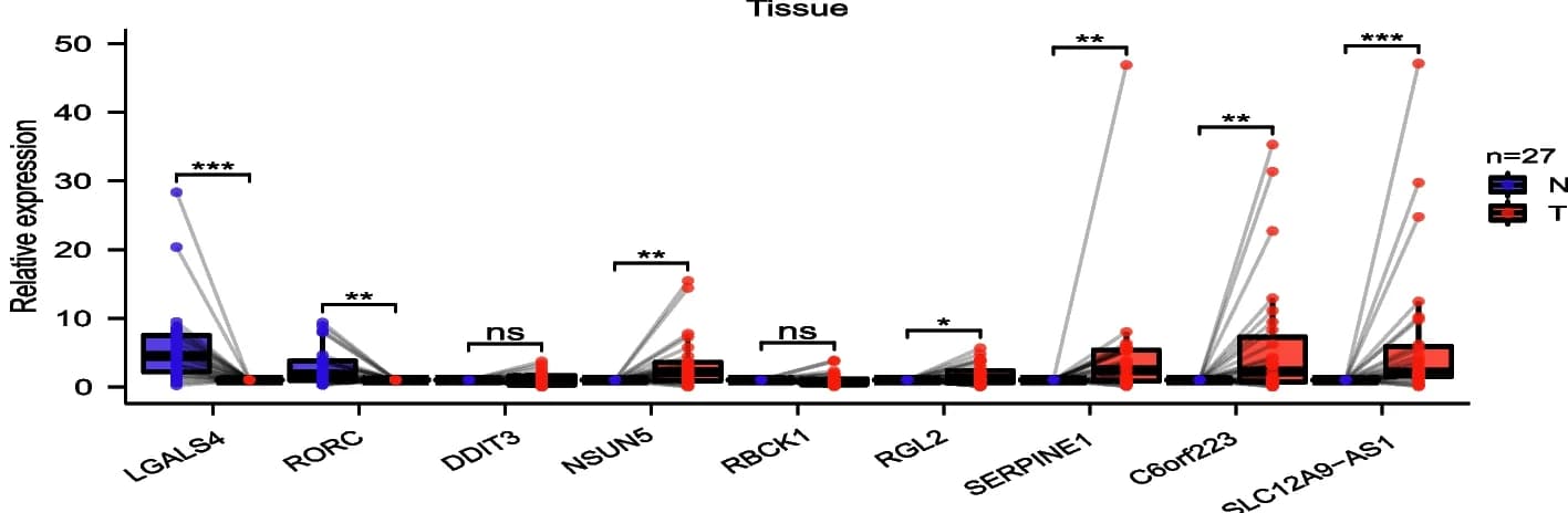 Open access visualization of Box Plot, Scatter Plot, Gene Expression, Colon Cancer, Normal Colon Tissues