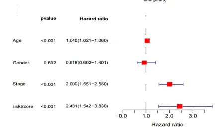 Open access visualization of Forest Plot, Forest Plots, Univariate Cox Regression, Multivariate Cox Regression, Training Set
