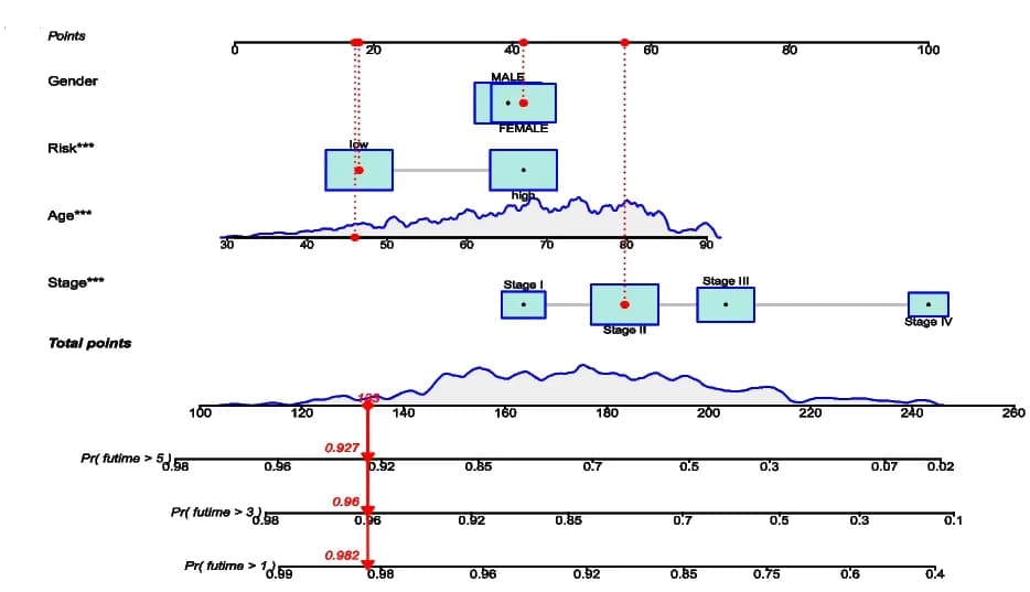 Open access visualization of Box Plot, Line Plot, Line Step, Nomogram, Overall Survival