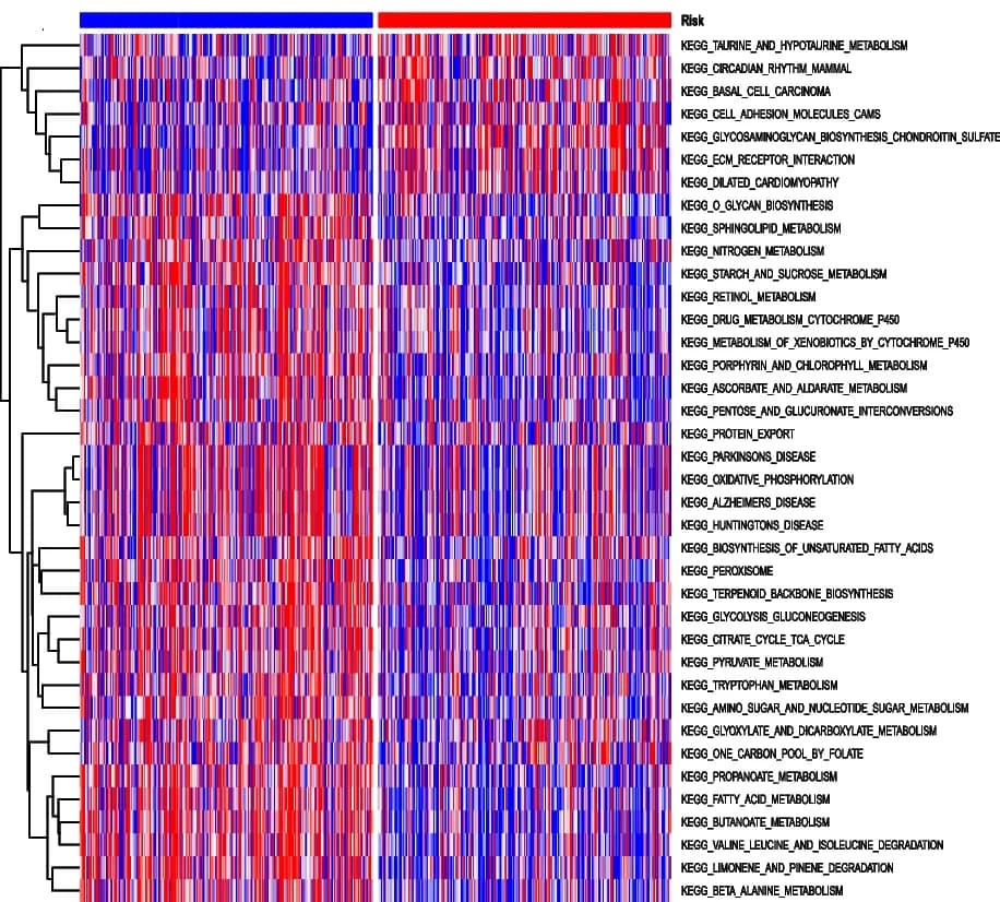 Open access visualization of Heatmap, Clustered, GSVA Enrichment, Risk Score