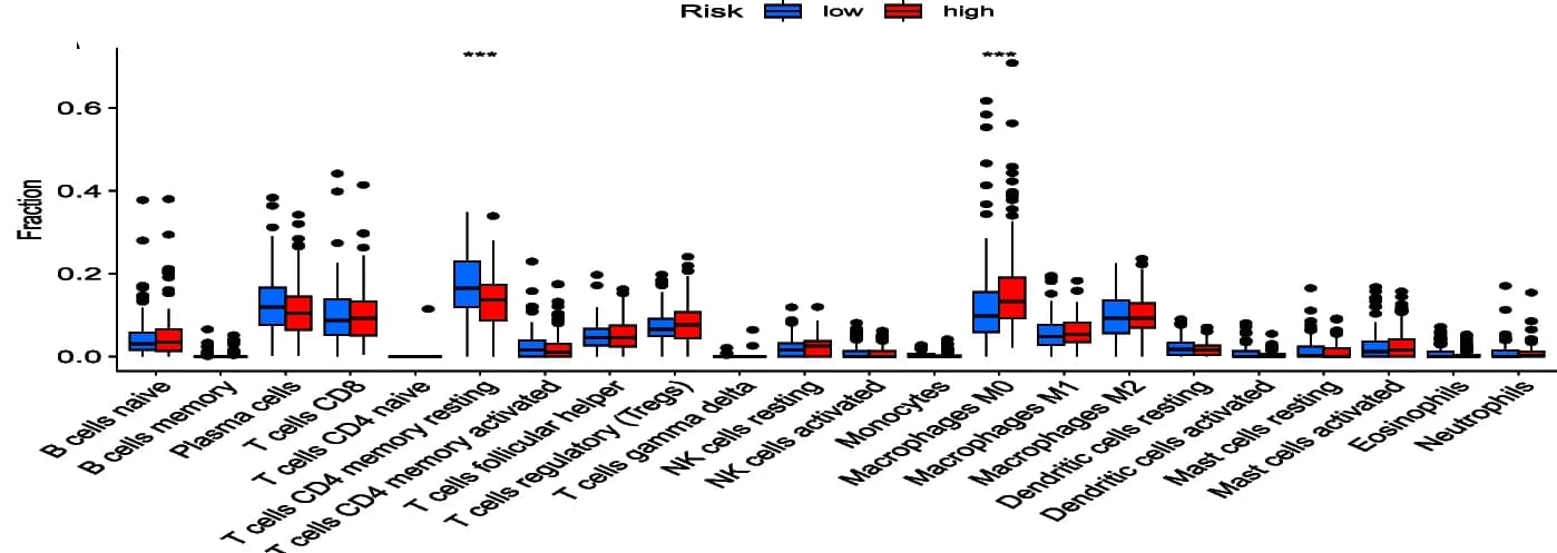 Open access visualization of Box Plot, Immune Cell Infiltration, Risk Score