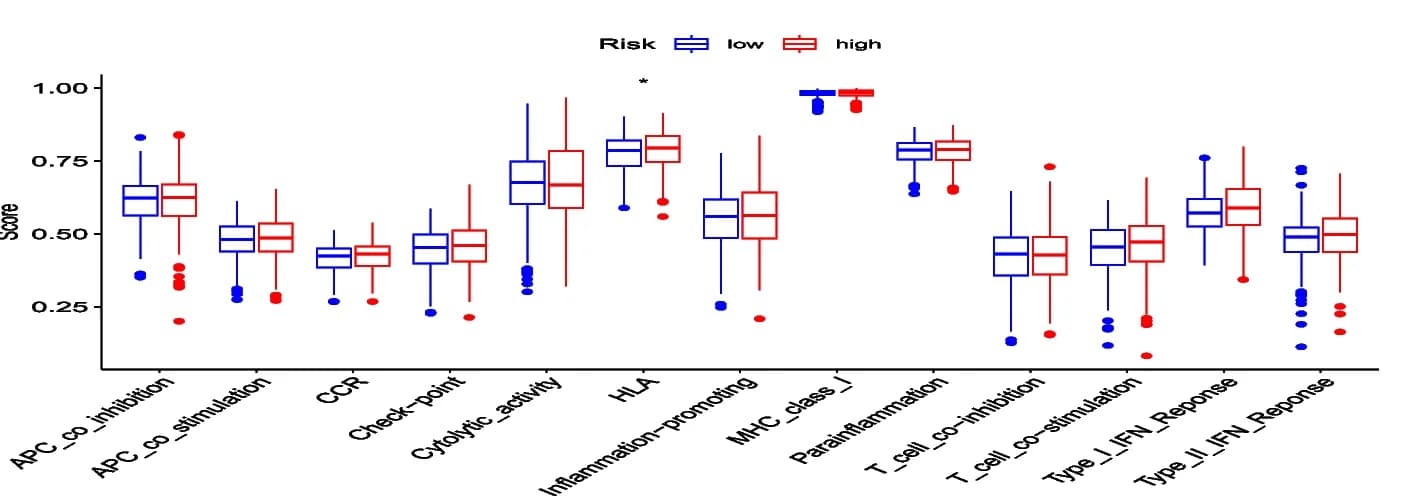 Open access visualization of Box Plot, Immunity-Related Functions, Risk Score, Statistical Significance