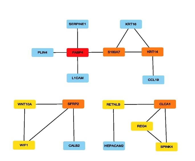 Open access visualization of Network, Pathway, Hub Genes, cytoHubba Analysis