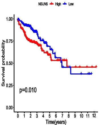 Open access visualization of Survival Curve, Line Plot, Kaplan-Meier Curves, Overall Survival, TCGA