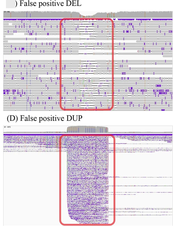 Open access visualization of Workflow, Illustration, Sniffles, PBSV, SVIM