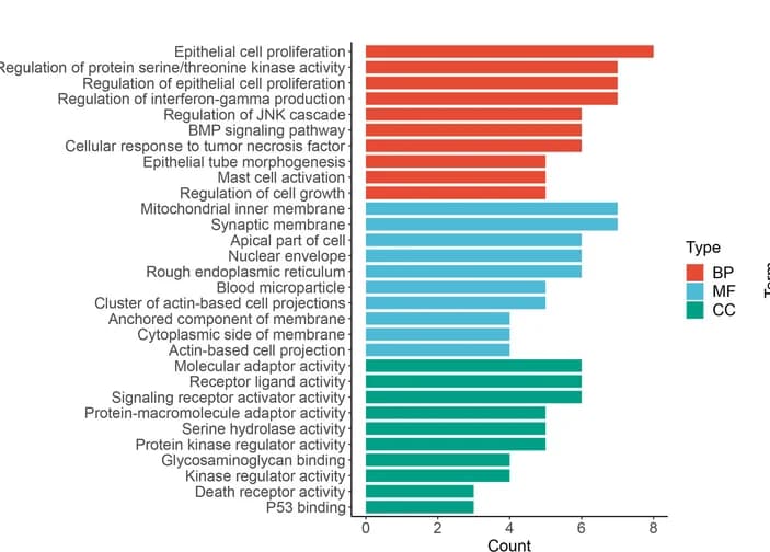 Open access visualization of Bar Plot, GO Enrichment Analysis