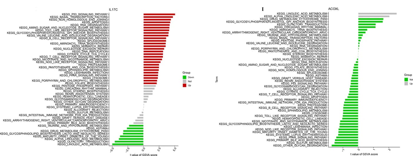Open access visualization of Bar Plot, KEGG Enrichment Analysis, IL17C
