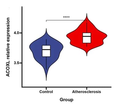 Open access visualization of Violin Plot, Box Plot, ACOXL, Atherosclerosis, Control Group