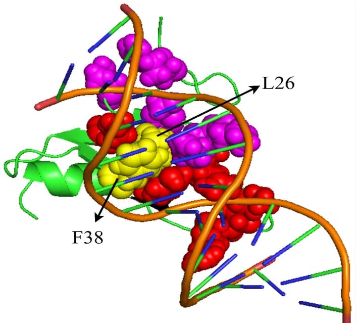 Open access visualization of Protein Structure, Chemical Structure, Hot Spots, Non-Hot Spots, PrPDH