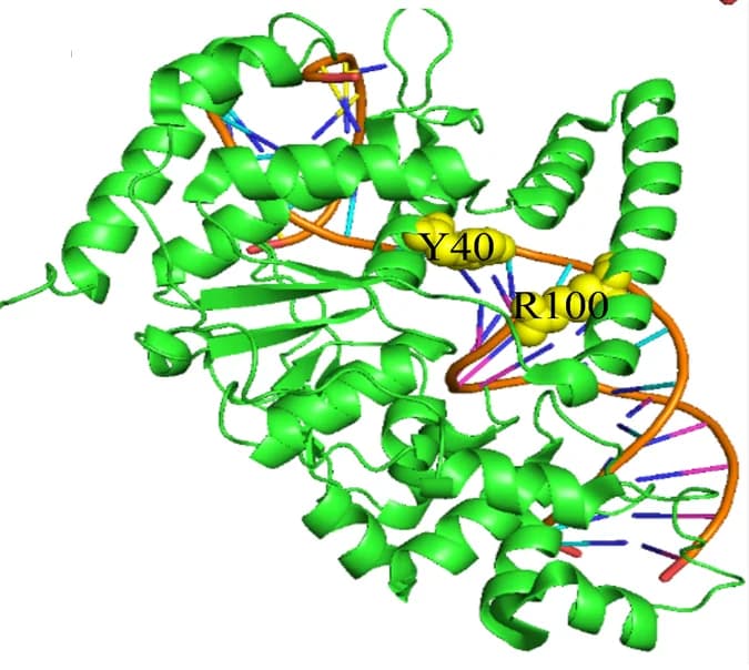 Open access visualization of Protein Structure, Chemical Structure, Hot Spots, Non-Hot Spots, PrPDH