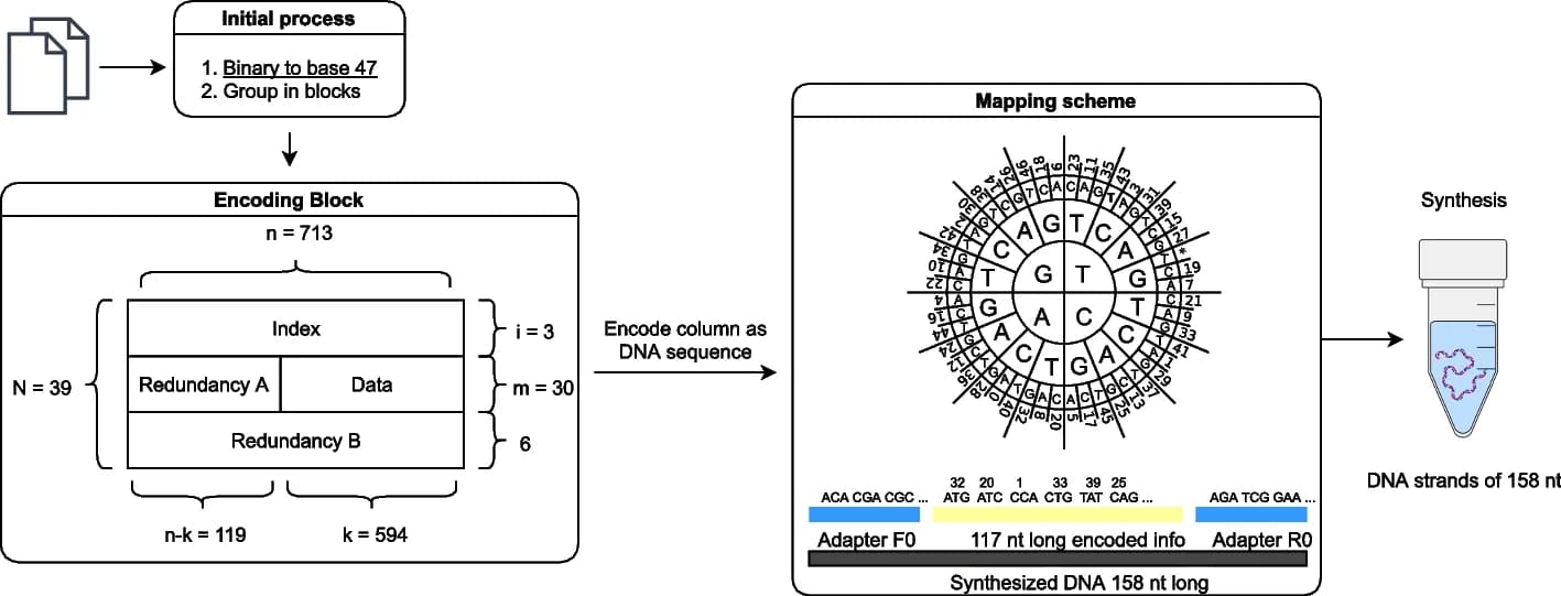 Open access visualization of Workflow, Flowchart, Illustration, Encoding Algorithm, Binary Data