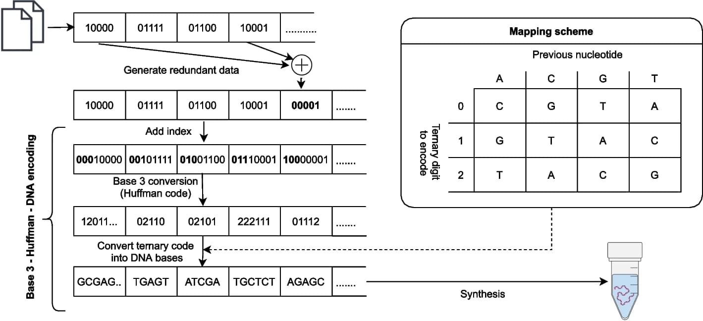 Open access visualization of Workflow, Illustration, Encoding Algorithm, XOR Operation, Homopolymers
