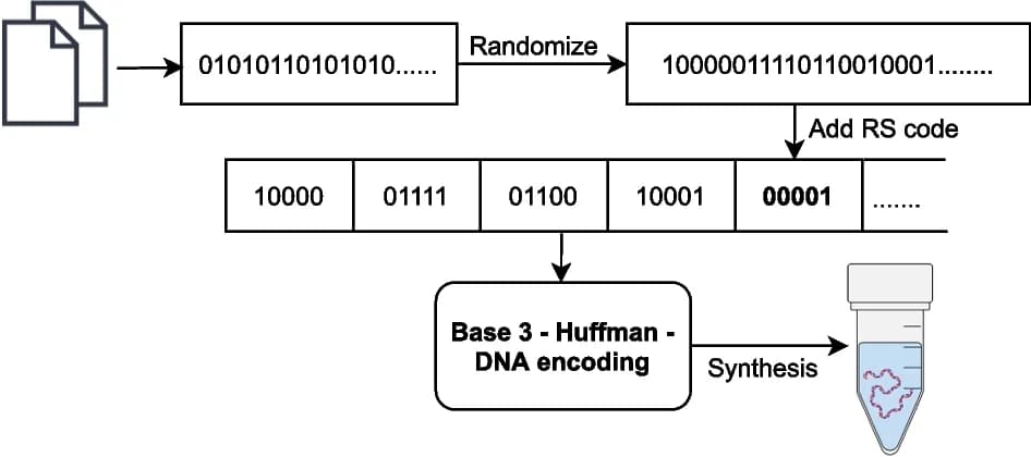 Open access visualization of Workflow, Flowchart, Illustration, Encoding Algorithm, RS Code