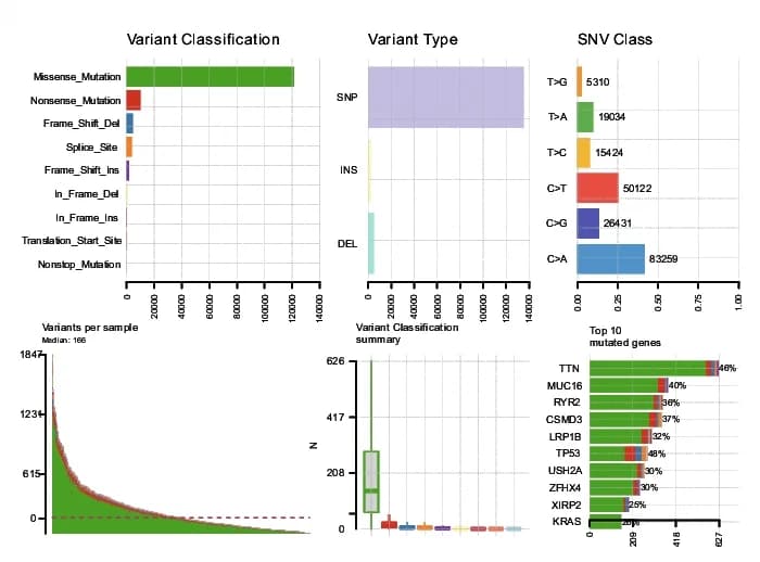 Open access visualization of Bar Plot, Box Plot, Line Plot, Mutation, Lung Adenocarcinoma