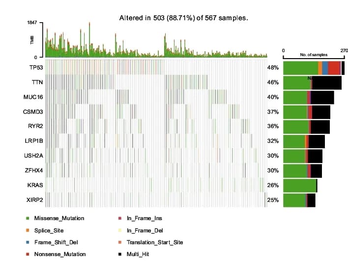 Open access visualization of Bar Plot, Stacked Bar Plot, Heatmap, Mutation, Genes