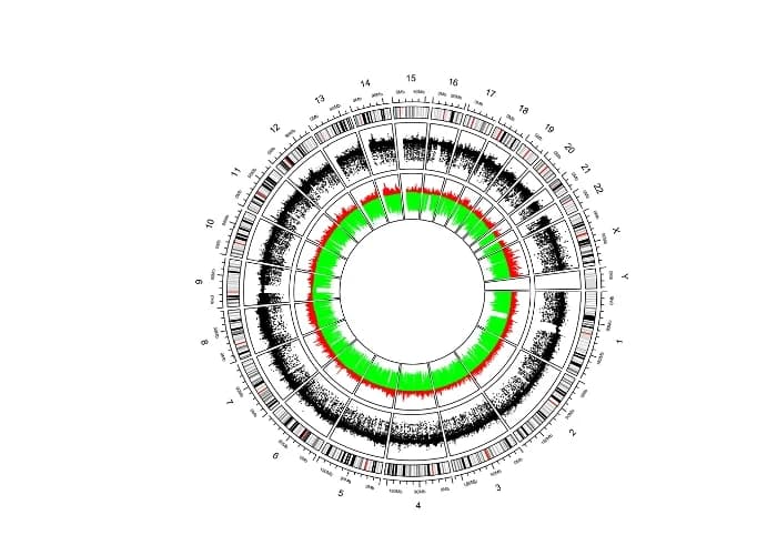 Open access visualization of Scatter Plot, Line Plot, CNV, TCGA-LUAD, Chromosomes