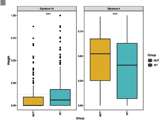 Open access visualization of Box Plot, Scatter Plot, TP53 mutation, Mutational signature