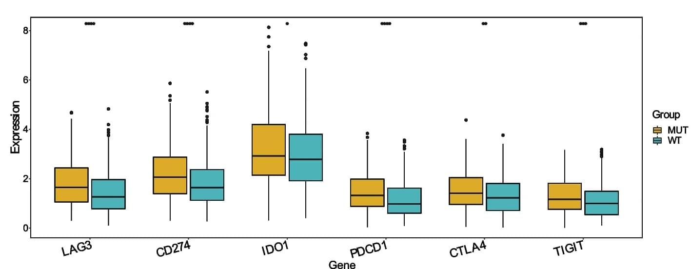 Open access visualization of Box Plot, Immune checkpoints, TP53-MUT, Expression