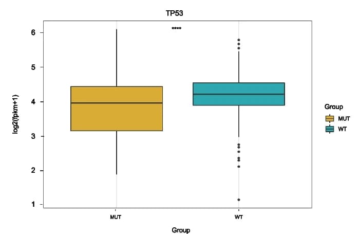 Open access visualization of Box Plot, TP53 Mutation, TP53 Expression