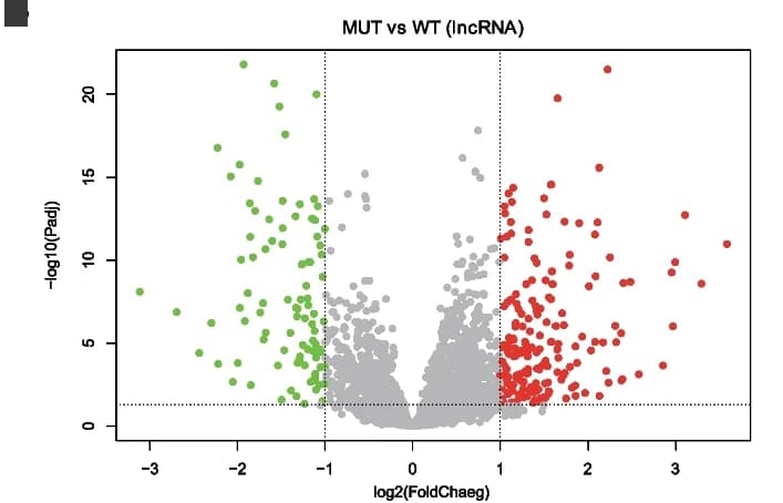 Open access visualization of Scatter Plot, Volcano Plot, Differentially Expressed lncRNA, Log2 Fold Change, Adjust P Value