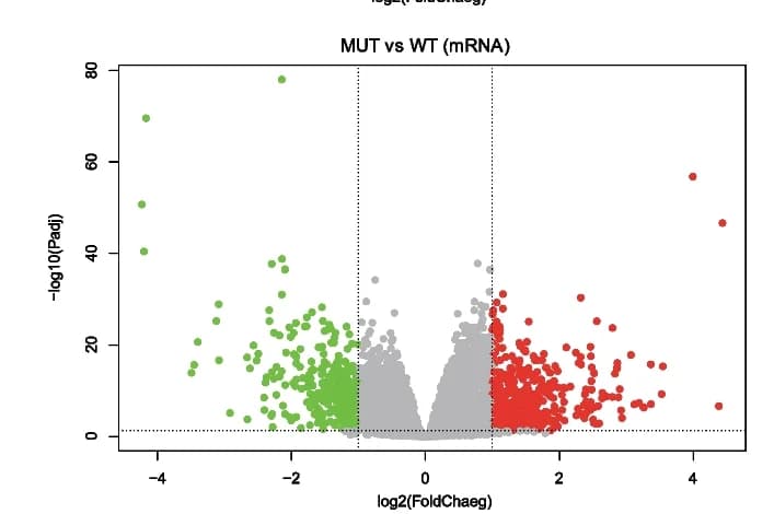 Open access visualization of Volcano Plot, Scatter Plot, Differentially Expressed mRNA, Log2 Fold Change, Adjust P Value