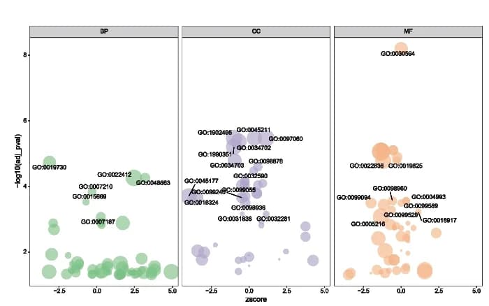 Open access visualization of Bubble Plot, GO Enrichment Analysis, Differentially Expressed mRNA
