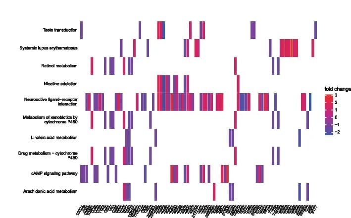 Open access visualization of Heatmap, KEGG Pathway Enrichment Analysis