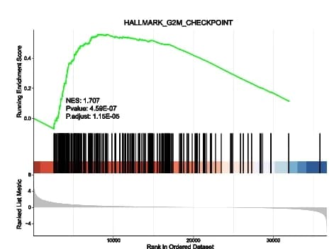Open access visualization of Line Plot, Ridge Plot, GSEA enrichment analysis, Hallmark pathway enrichments