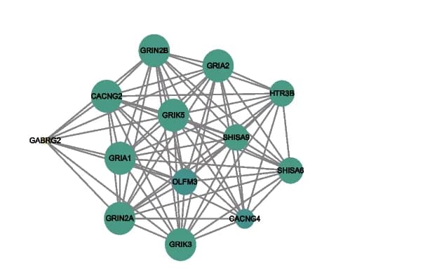 Open access visualization of Network, Pathway, Sub-network, PPI, MOCDE Score