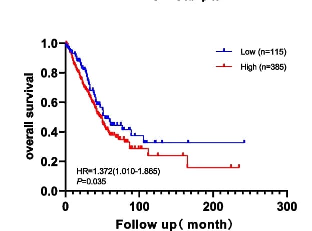 Open access visualization of Survival Curve, Kaplan-Meier Survival Analysis, LUAD Patients, EZH2 Expression, Overall Survival