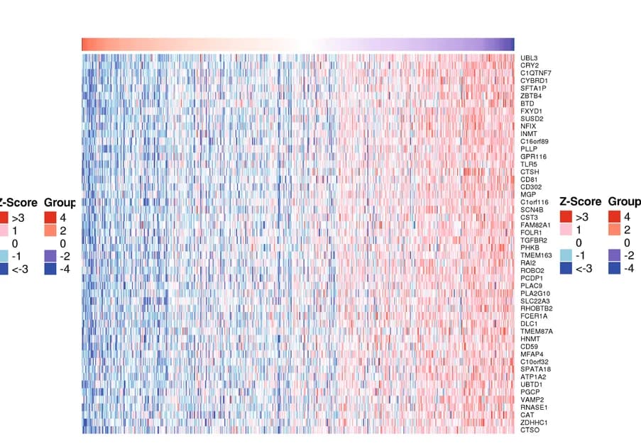 Open access visualization of Heatmap, Clustered, Negative Correlation, Genes, EZH2
