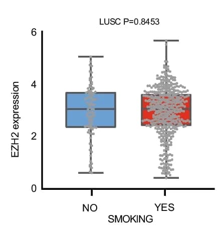Open access visualization of Box Plot, Raincloud Plot, EZH2, Smoking, Squamous Cell Carcinoma