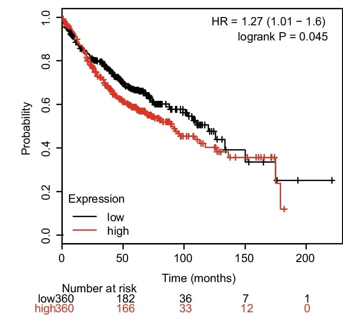 Open access visualization of Survival Curve, Lung Adenocarcinoma