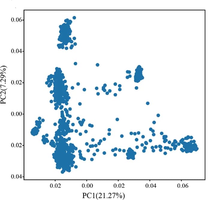 Open access visualization of Scatter Plot, PCA, Principal Component, Kinship Matrix, Genome
