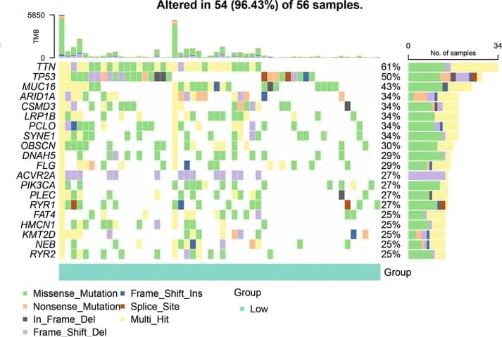Open access visualization of Heatmap, Bar Plot, Stacked Bar Plot, Mutation profiles, Tumorigenic driver genes