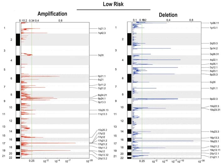 Open access visualization of Line Plot, Copy number levels, Genes, Low-risk group