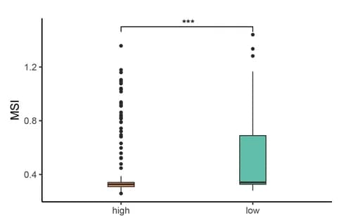 Open access visualization of Box Plot, Scatter Plot, Boxplots, Microsatellite instability, High-risk groups