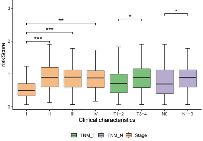 Open access visualization of Box Plot, Risk Scores, Clinical Characteristics, Boxplot