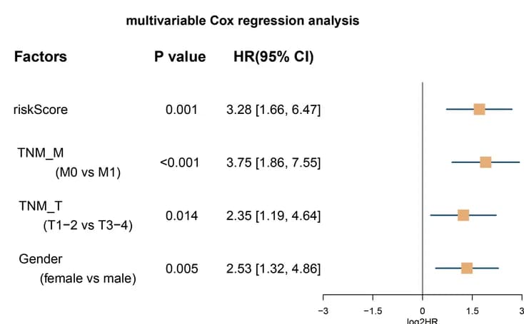 Open access visualization of Forest Plot, Multivariate Cox Regression