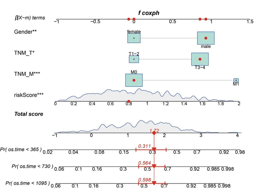 Open access visualization of Line Plot, Density Plot, Nomogram, Overall Survival, Gastric Cancer
