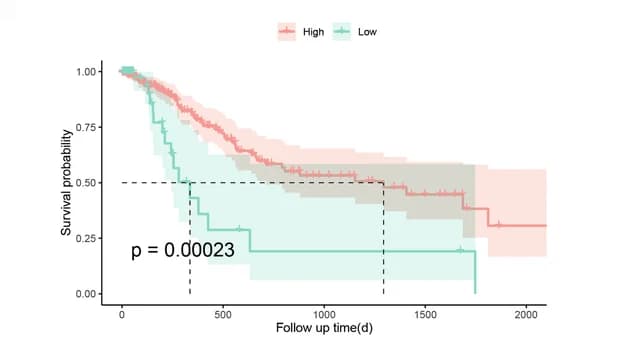 Open access visualization of Survival Curve, Error Bars, Survival Curves, RNA Modification Score Groups