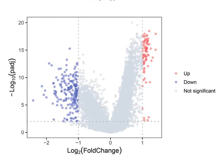 Open access visualization of Volcano Plot, Scatter Plot, Differential Expression, RNA Modification Score Groups