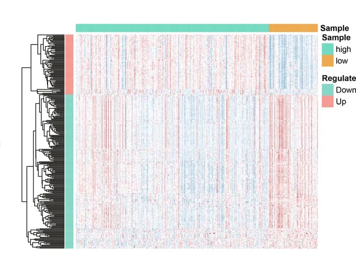 Open access visualization of Heatmap, Clustered, Differentially Expressed Genes, RNA Modification Score Groups