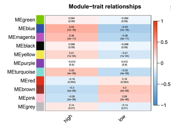Open access visualization of Heatmap, Correlation, Modules, Traits, Weighted Gene Correlation Network Analysis