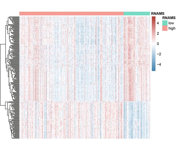 Open access visualization of Heatmap, Clustered, Differential Expression, Key Genes