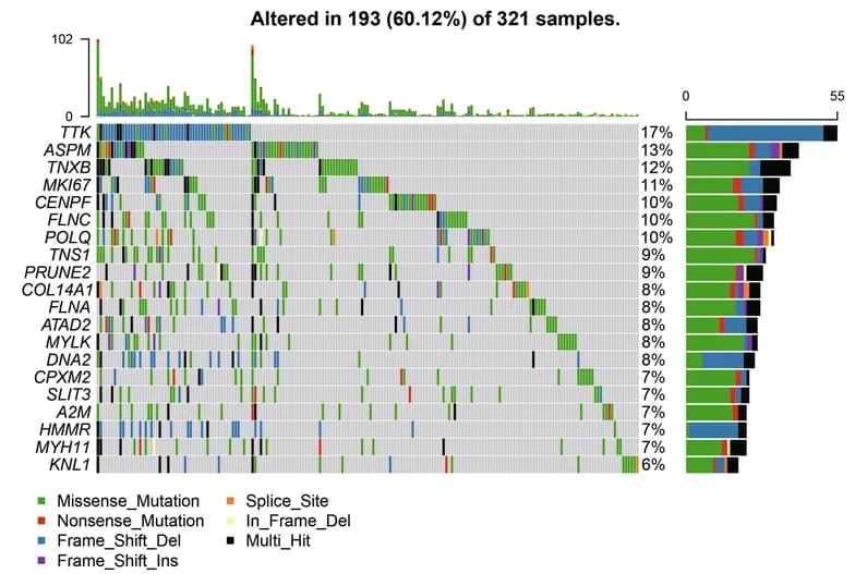 Open access visualization of Bar Plot, Stacked Bar Plot, Heatmap, Mutation Mapping, RNAMS-Associated Genes