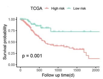 Open access visualization of Survival Curve, Survival Curves, TCGA, STAD