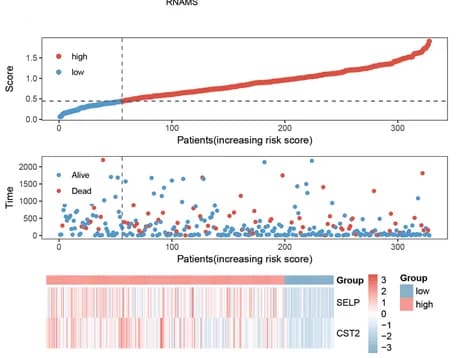 Open access visualization of Scatter Plot, Heatmap, Risk Score Distribution, TCGA